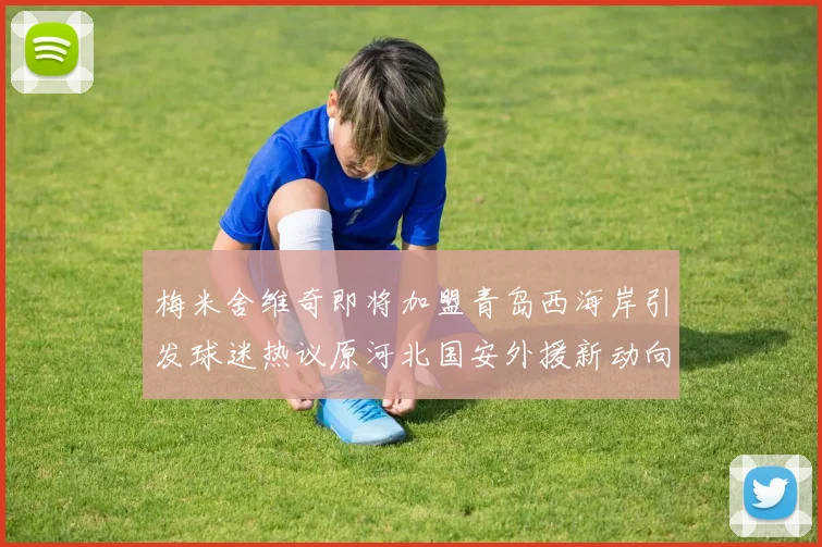 梅米舍维奇即将加盟青岛西海岸引发球迷热议原河北国安外援新动向