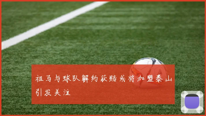 祖马与球队解约获赔或将加盟泰山引发关注